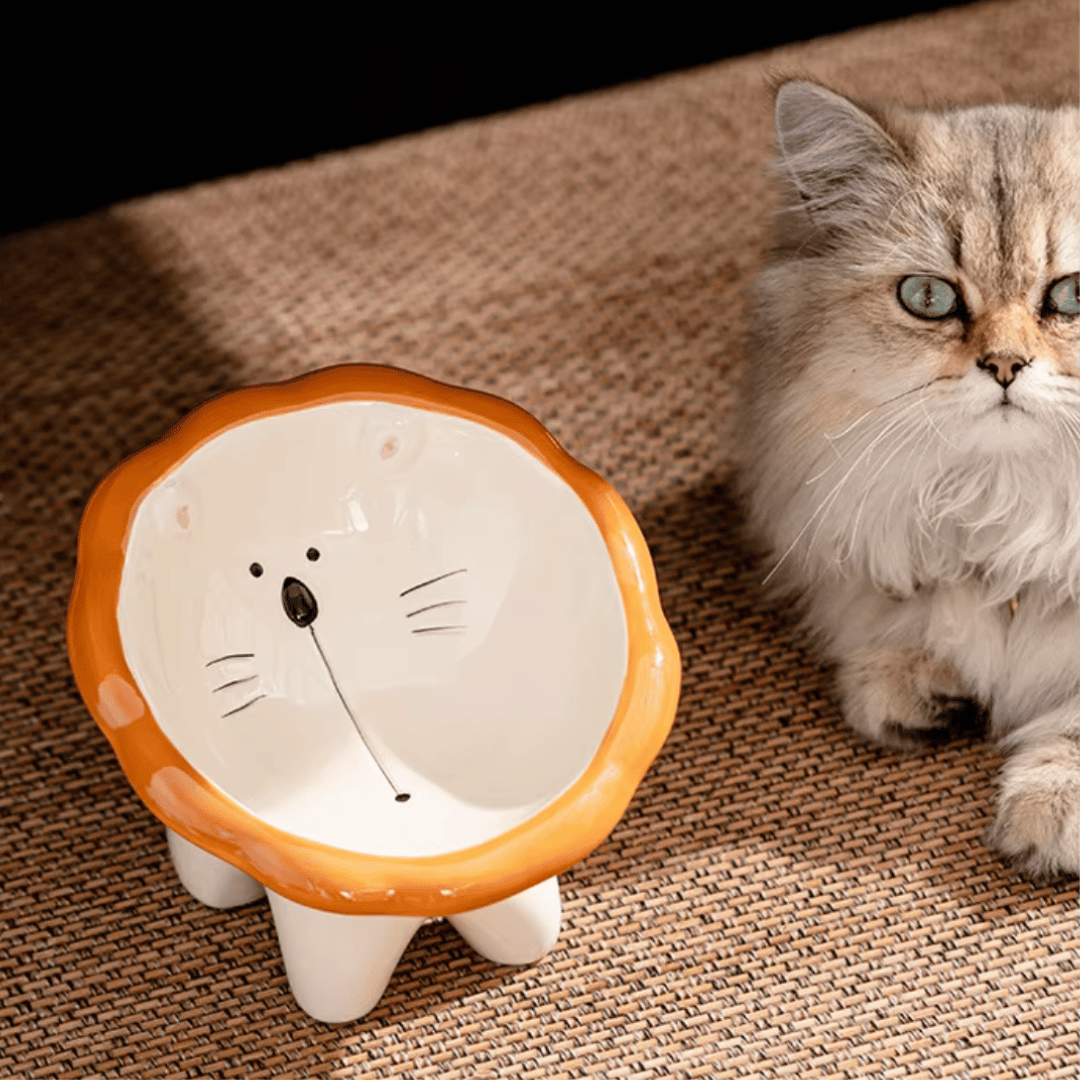 Cuenco Elevado cerámica para gatos
