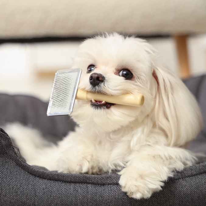 Cepillos | Peines para mascotas | Greenmals