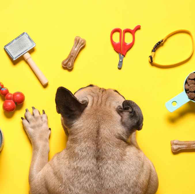 Productos de Higiene para mascotas