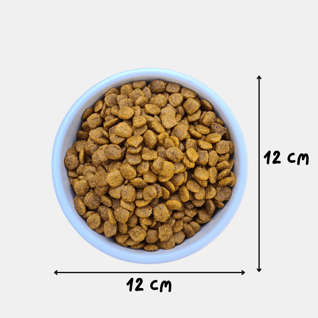 Cuenco de cerámica resistente gatito