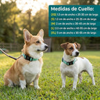 Collar acolchado de licra para perros