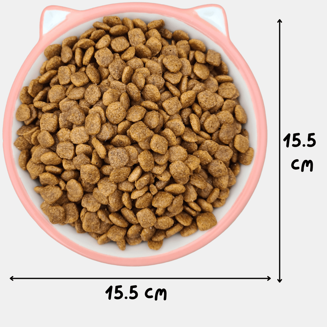 Cuenco de cerámica Miao para gatos