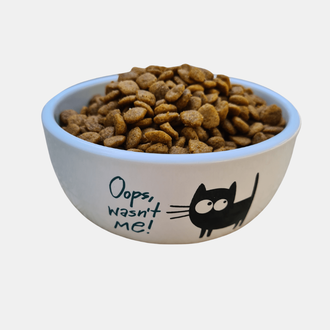 Cuenco de cerámica resistente gatito