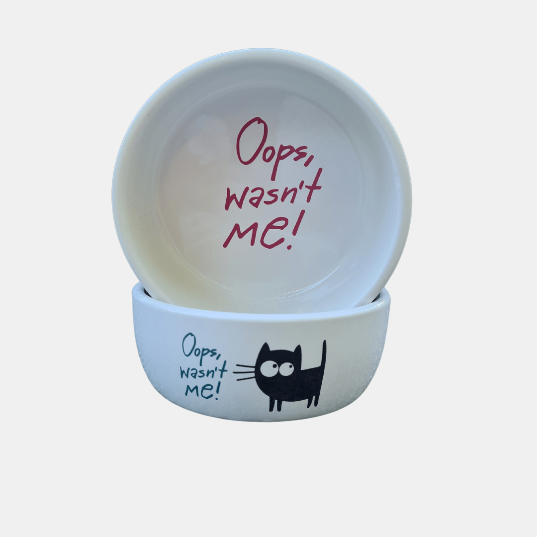 Cuenco de cerámica resistente gatito