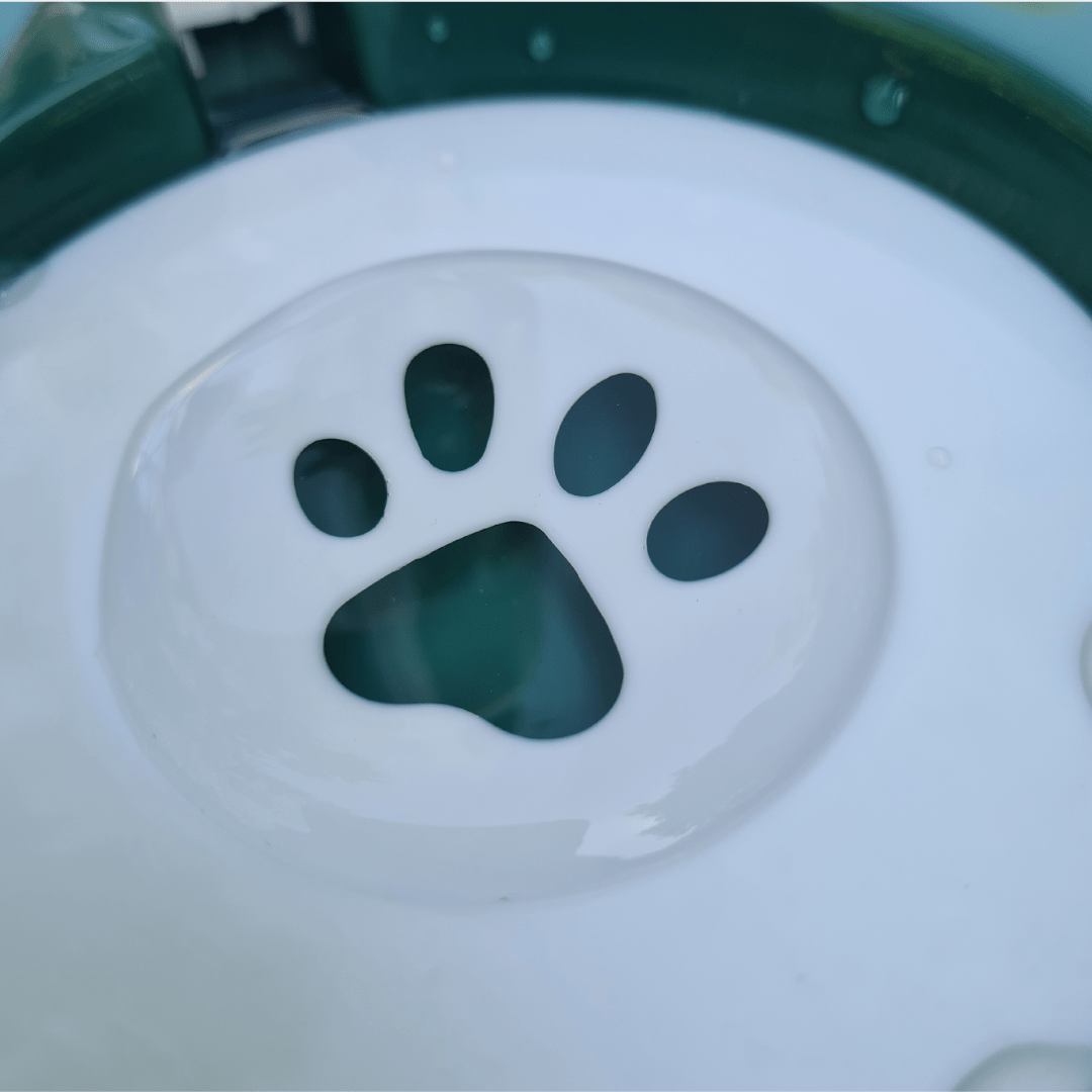 2 en 1 comedero y bebedero automático con orejitas para gatos