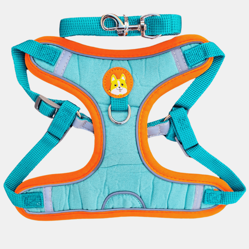 Arnés de Gamuza con Correa Reflectante para Perros