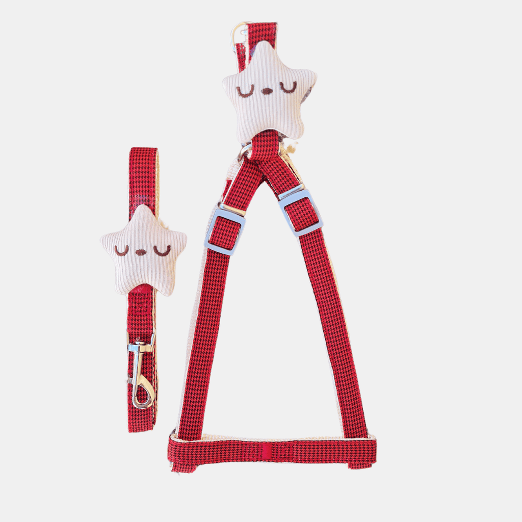 Conjunto Estrellita arnés + correa para gatos