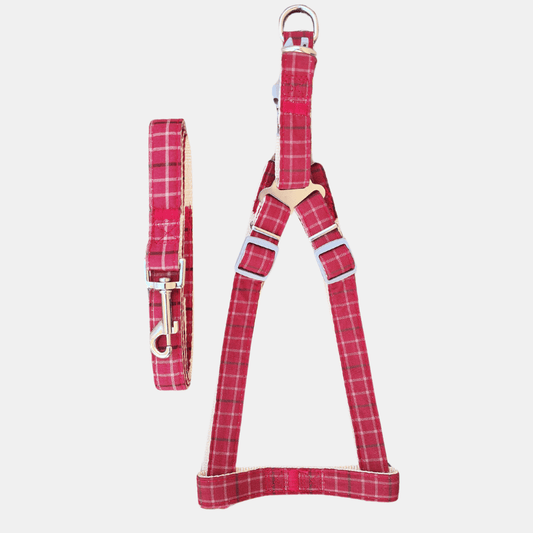 Conjunto Cuadros arnés + correa para perros