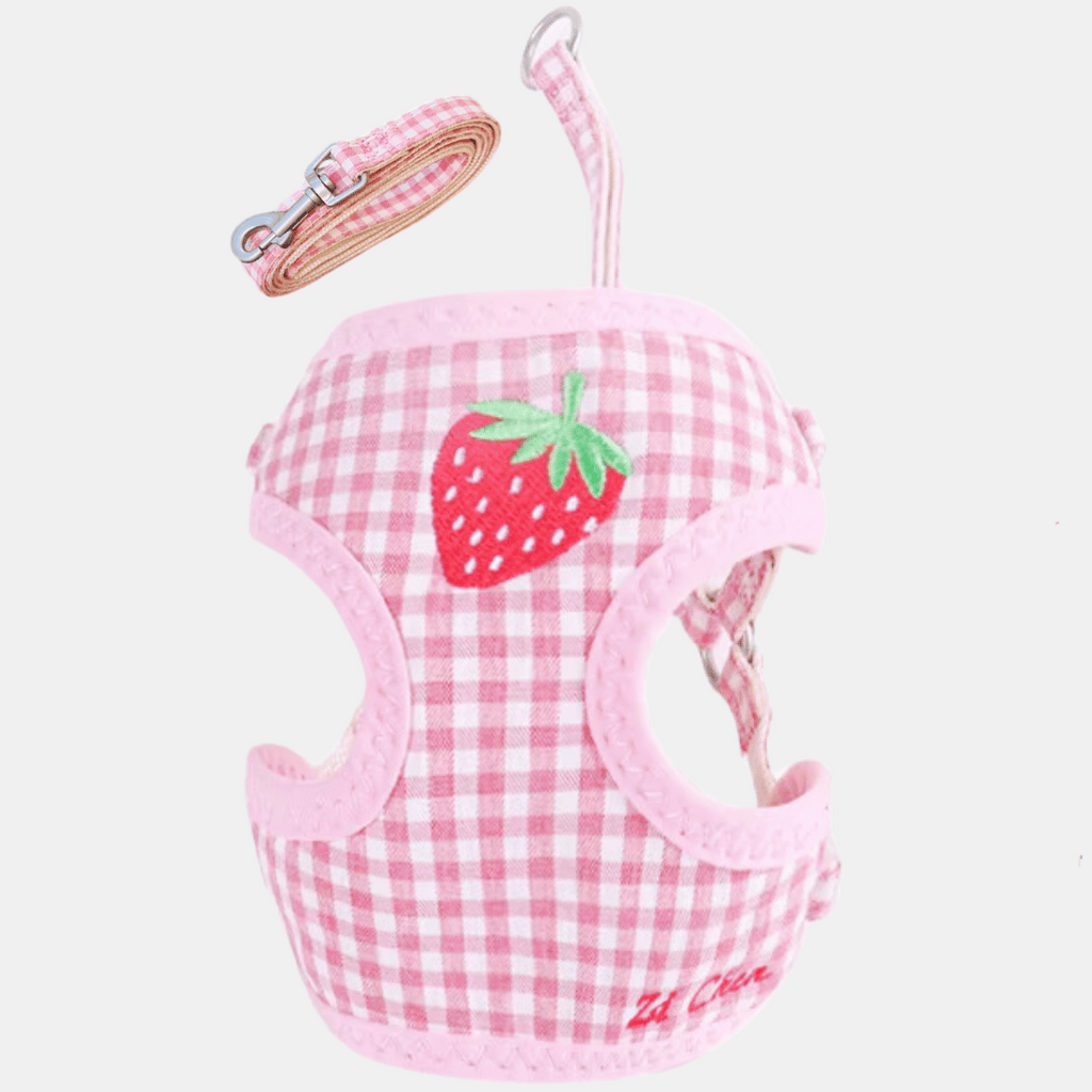 Conjunto Fruta arnés + correa para gatos