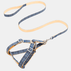 Conjunto Cuadros arnés + correa para perros