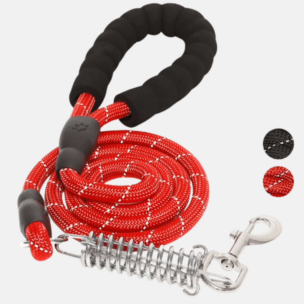 Correa de Nylon con Muelle de Amortiguación para Perros