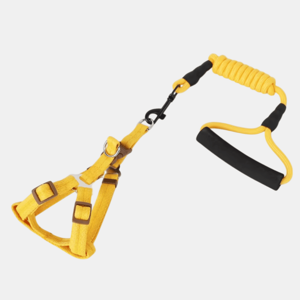 Arnés y Correa con Mango de Espuma para Perros