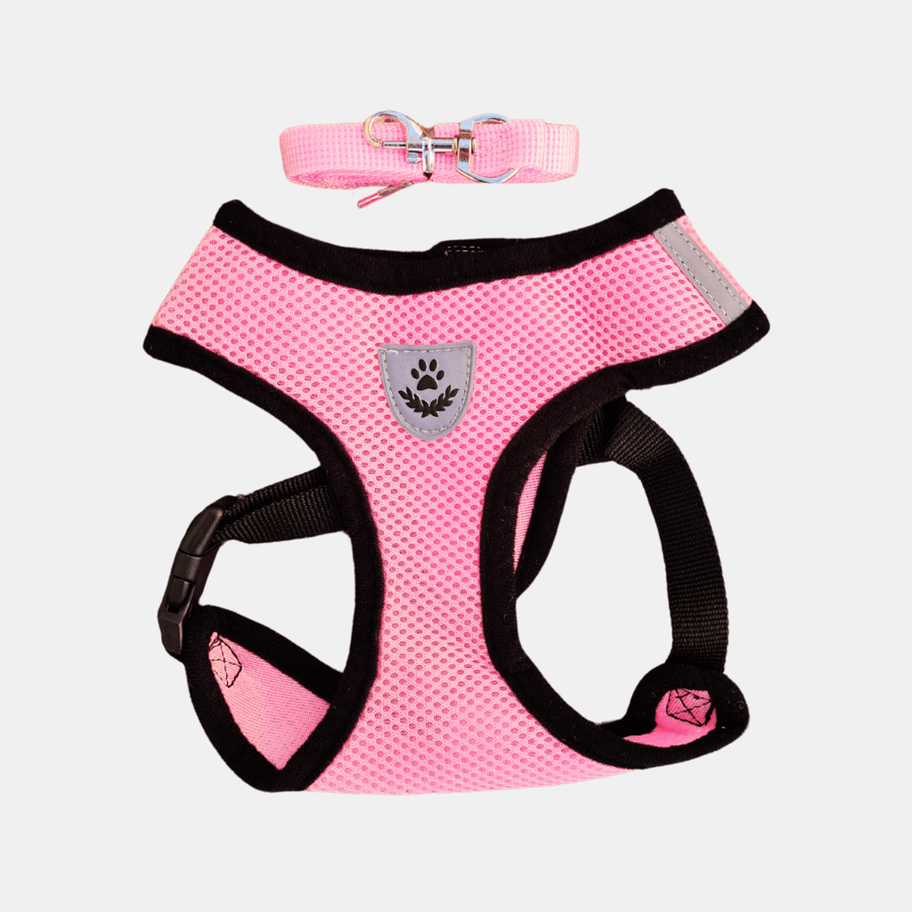 Arnés Ligero Transpirable para Perros y Gatos