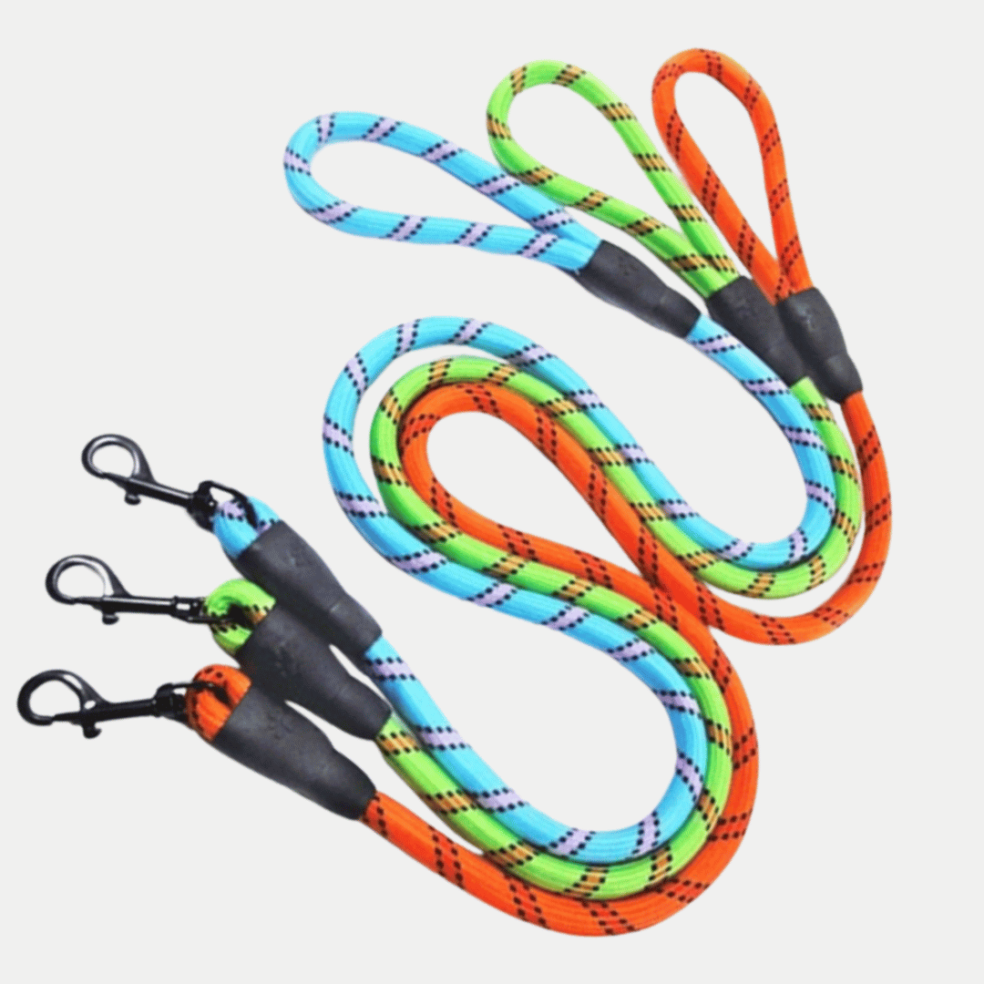 Correa Nylon elástico para perros