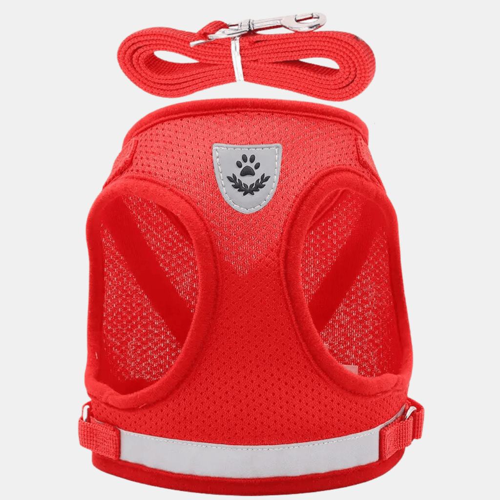 Arnés Chaleco Transpirable con Correa para Perros Pequeños y Gatos