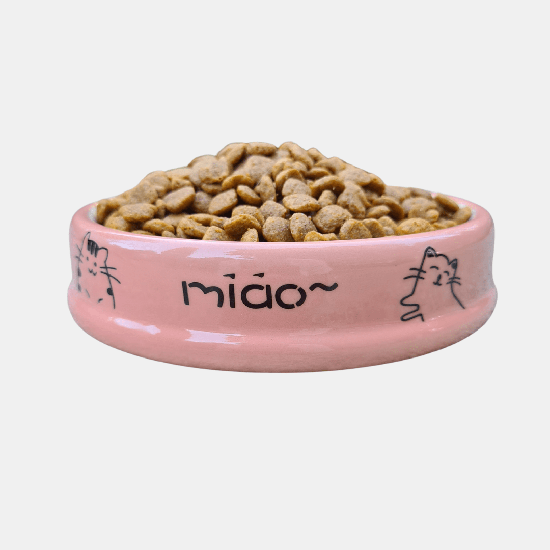 Cuenco de cerámica Miao para gatos