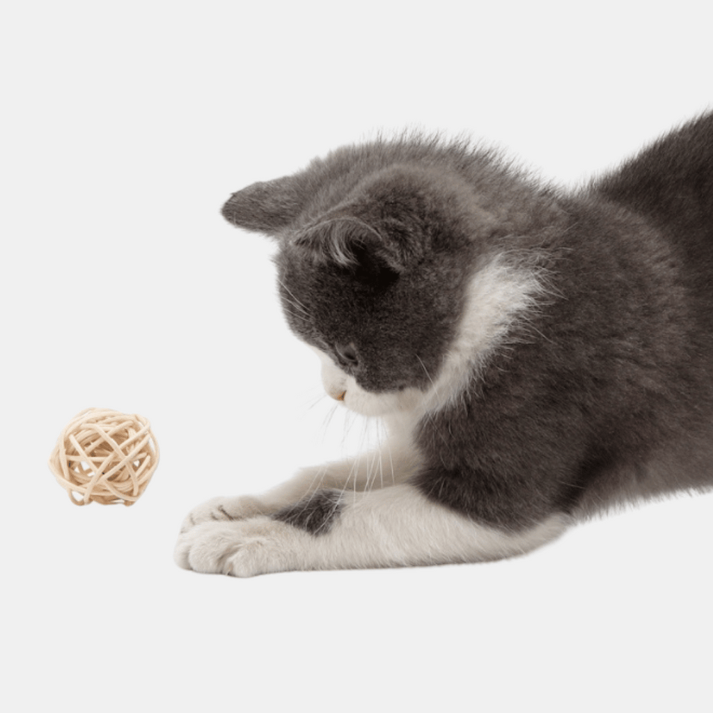 Bola Sisal interactiva con plumas para gatos