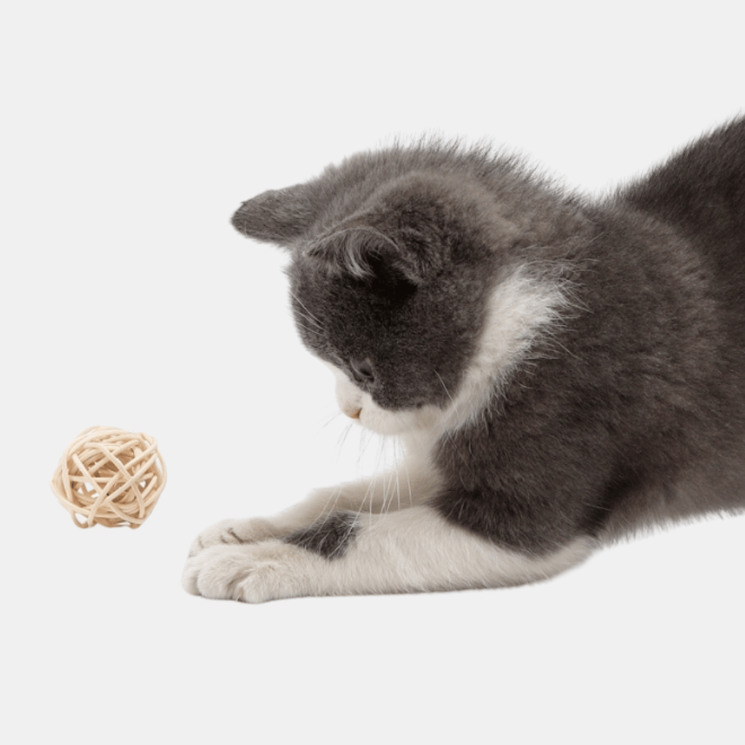 Bola Sisal interactiva con plumas para gatos