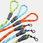 Correa Nylon elástico para perros
