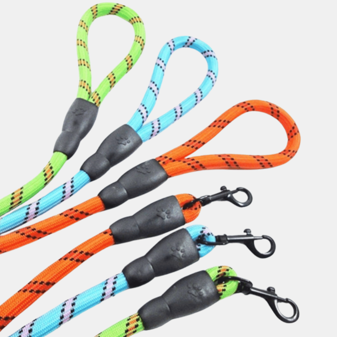 Correa Nylon elástico para perros