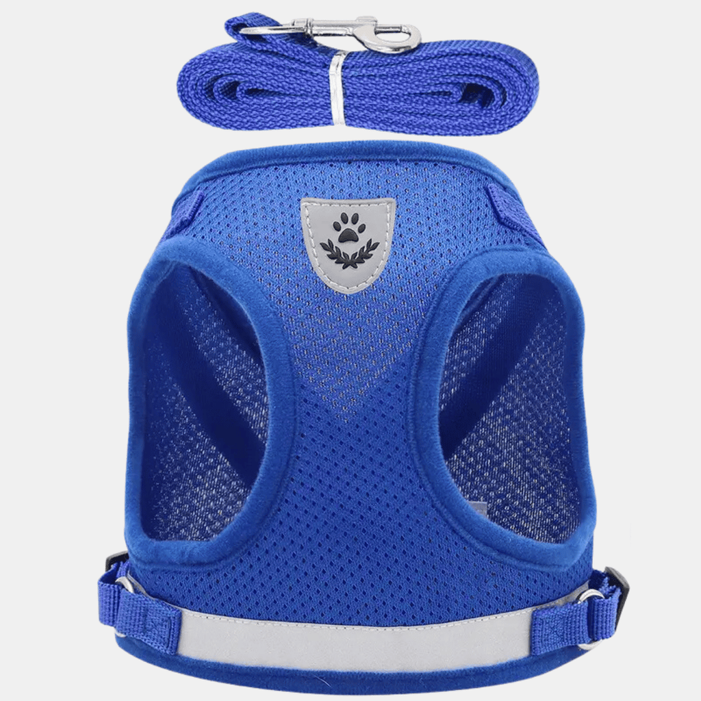 Arnés Chaleco Transpirable con Correa para Perros Pequeños y Gatos