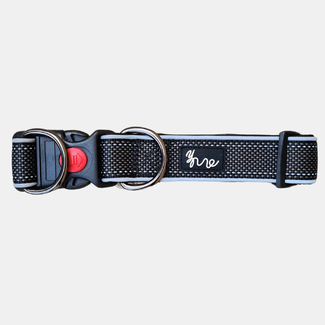 Aazon.co: Dyneow Collar Para Perro, Doble Capa Reflectante De Nailon Grueso, Acolchado De