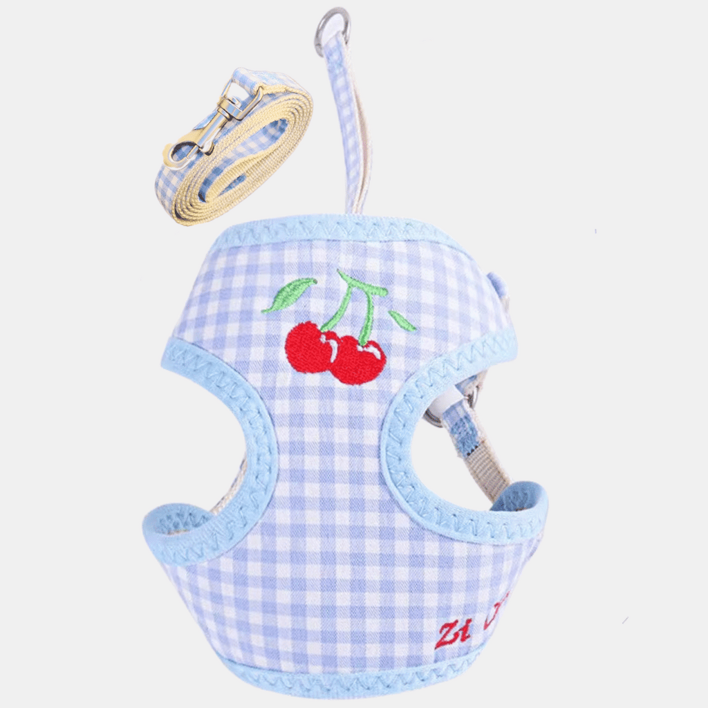 Conjunto Fruta arnés + correa para gatos