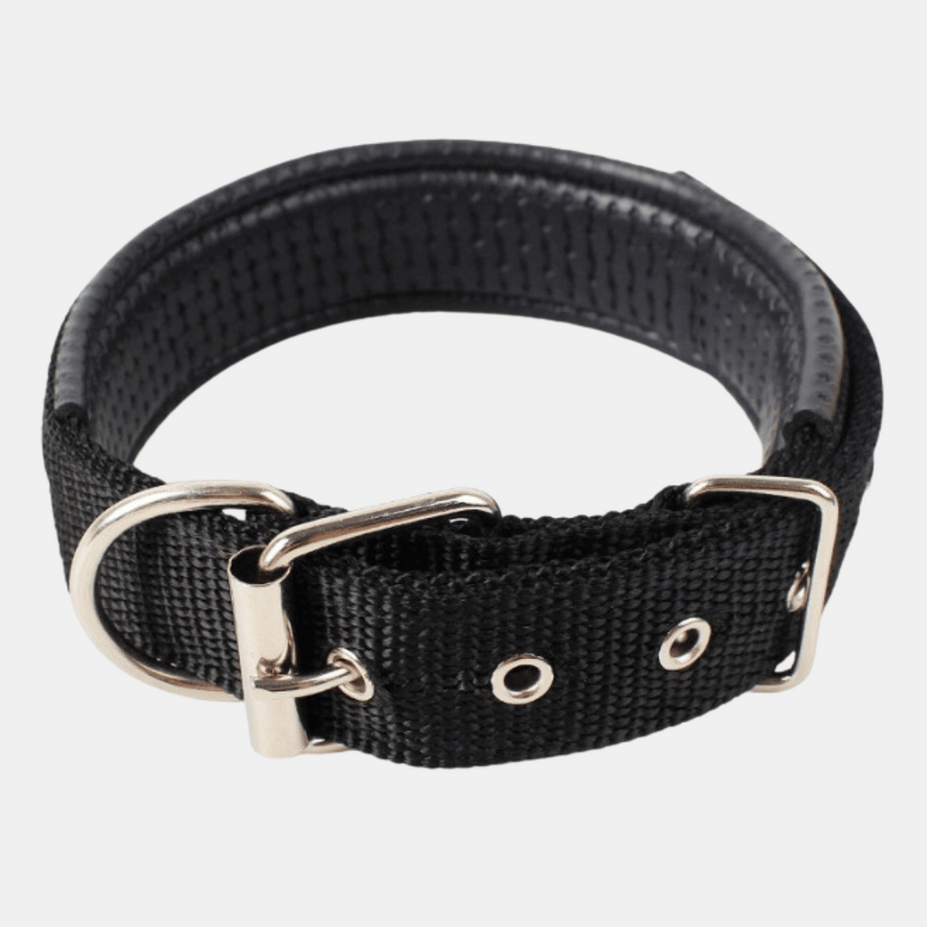 Collar Acolchado Nylon para perros