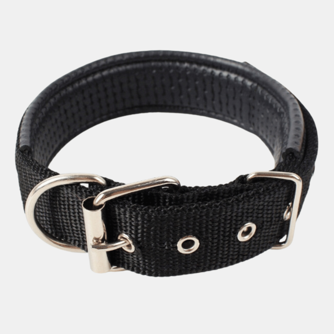 Collar Acolchado Nylon para perros
