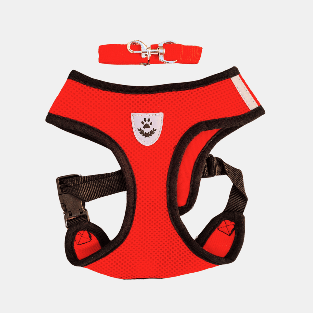 Arnés Ligero Transpirable para Perros y Gatos