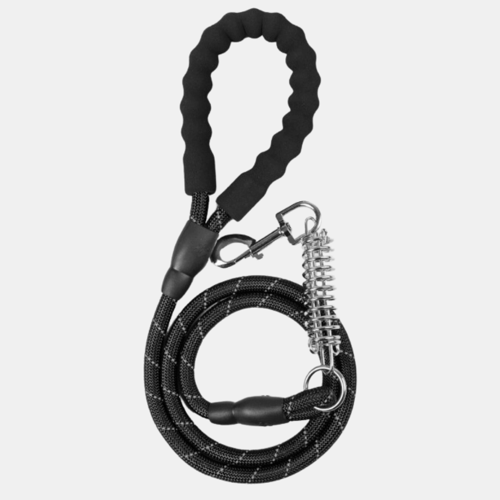 Correa de Nylon con Muelle de Amortiguación para Perros