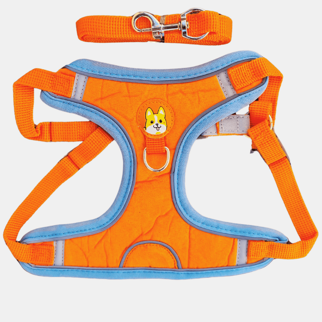Arnés de Gamuza con Correa Reflectante para Perros