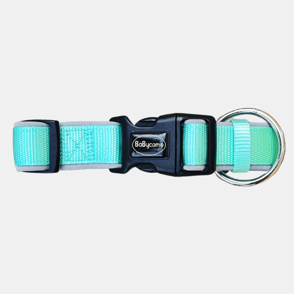 Collar Acolchado de Licra con Hebilla de Hierro para Perros