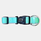 Collar Acolchado de Licra con Hebilla de Hierro para Perros