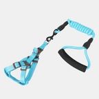 Arnés y Correa con Mango de Espuma para Perros