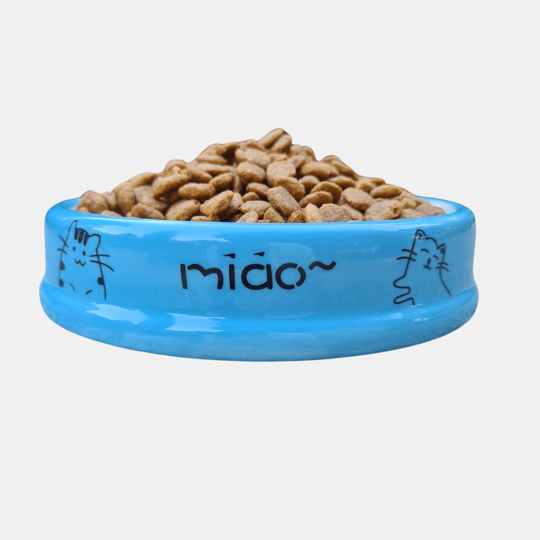 Cuenco de cerámica Miao para gatos