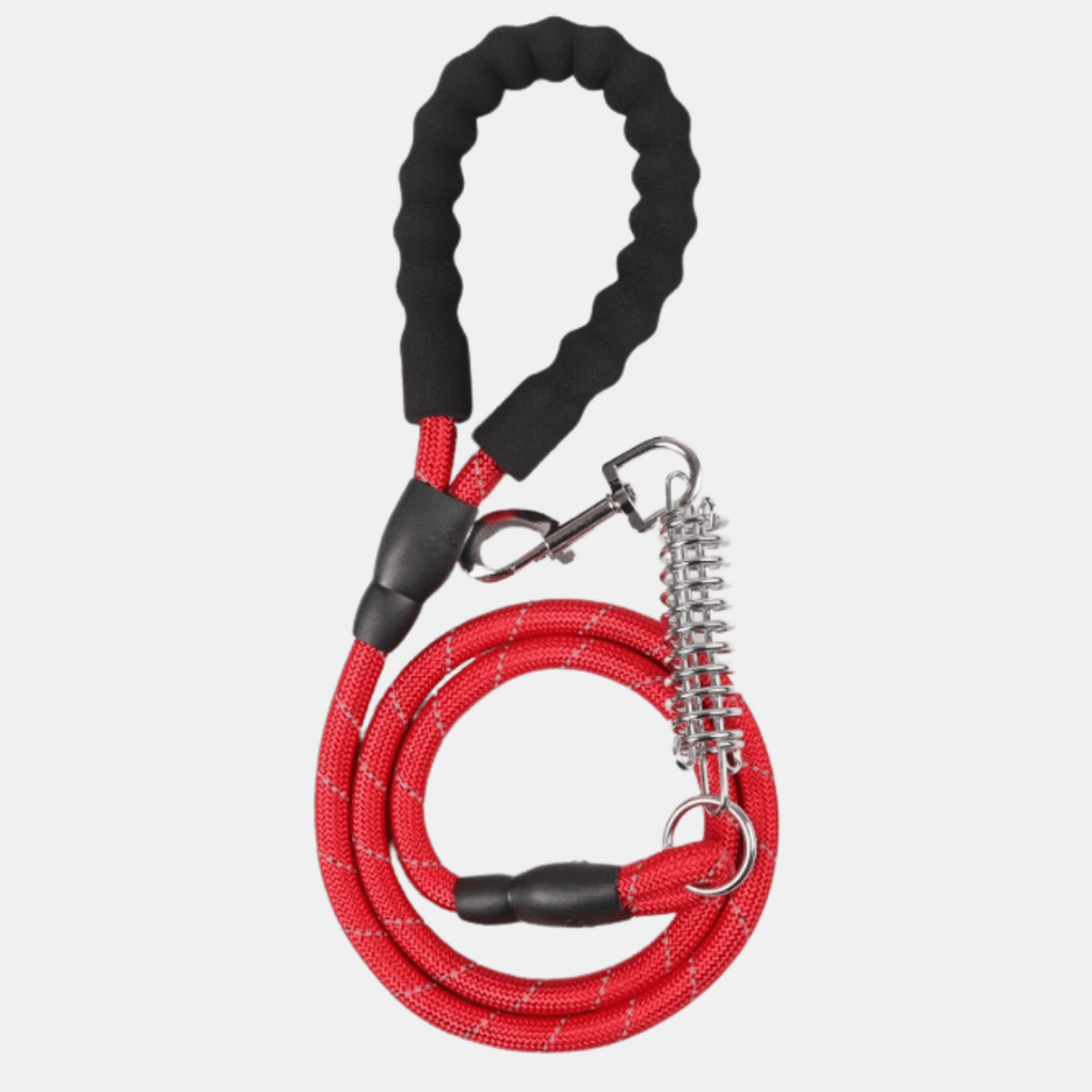 Correa de Nylon con Muelle de Amortiguación para Perros