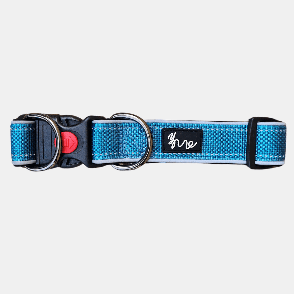 Collar Nylon Reflectante para perros