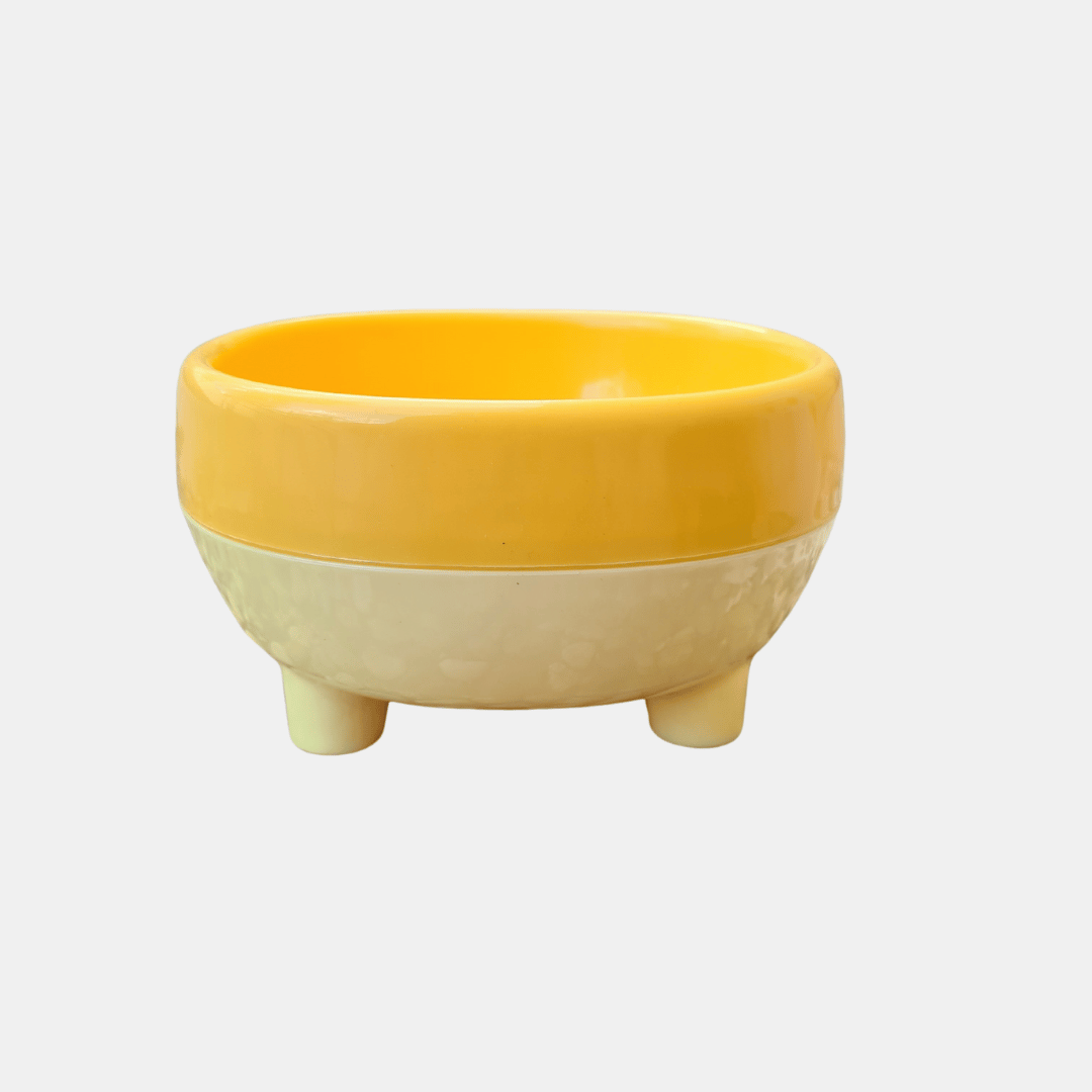 Cuenco diagonal con patitas para perros y gatos