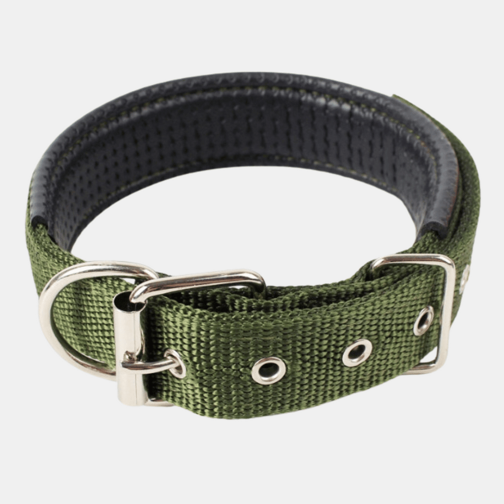 Collar Acolchado Nylon para perros