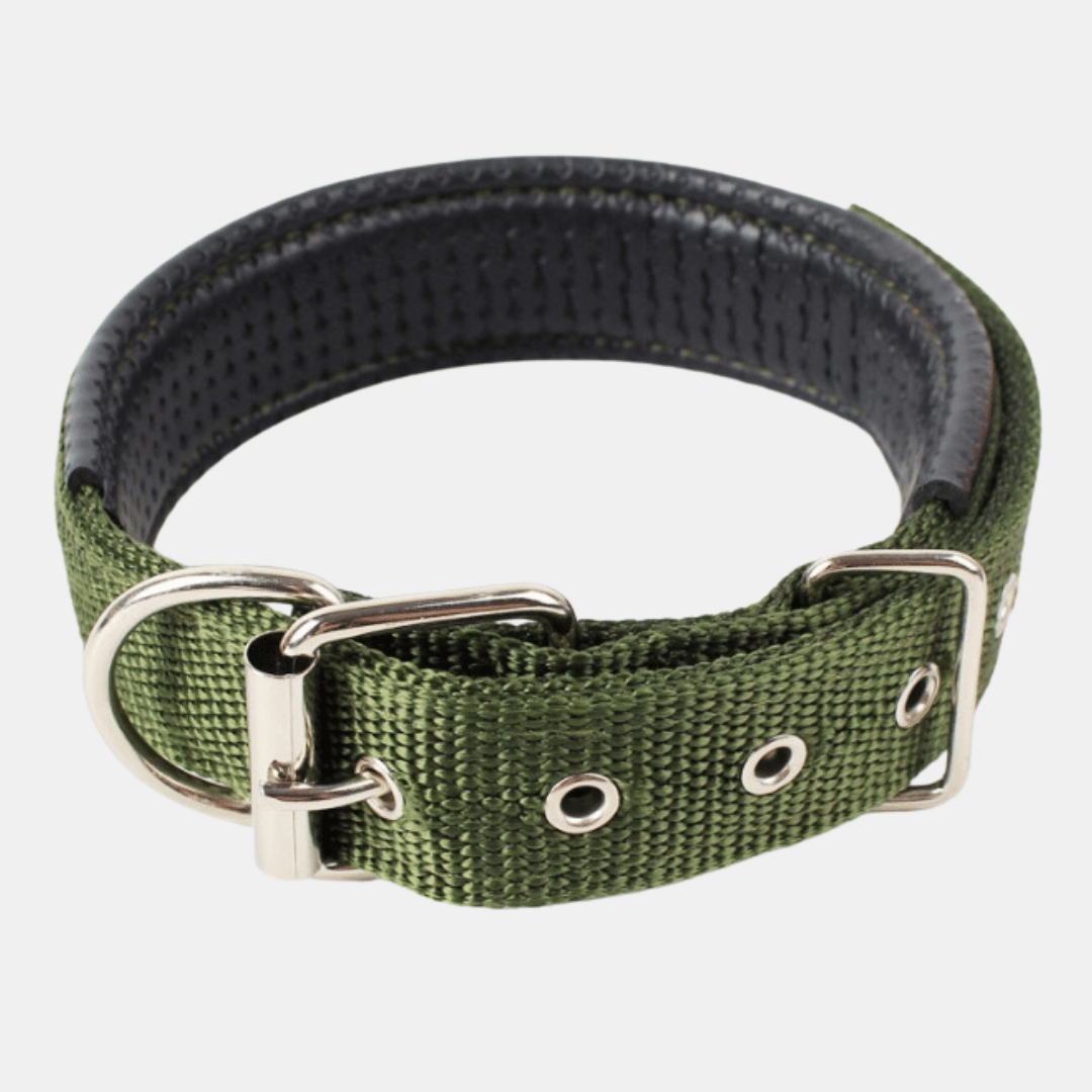Collar Acolchado Nylon para perros