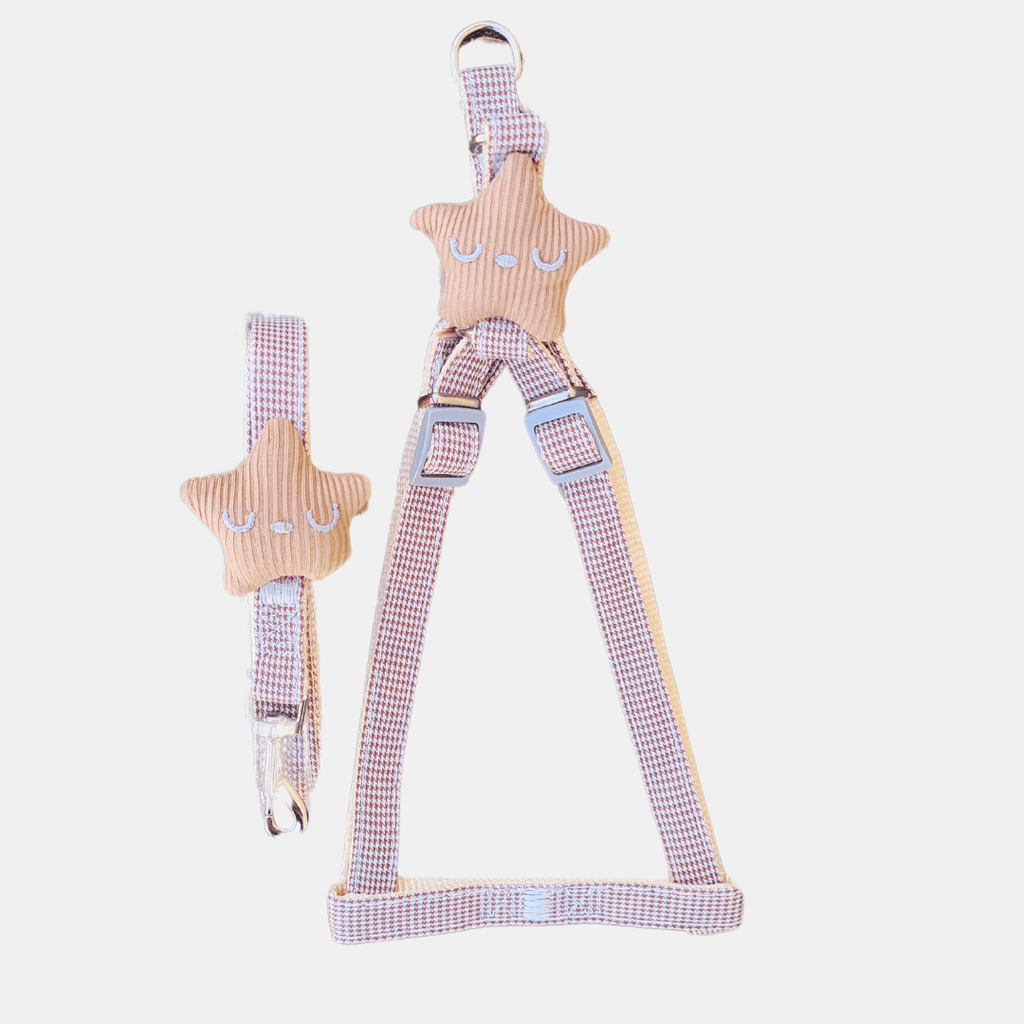 Conjunto Estrellita arnés + correa para gatos
