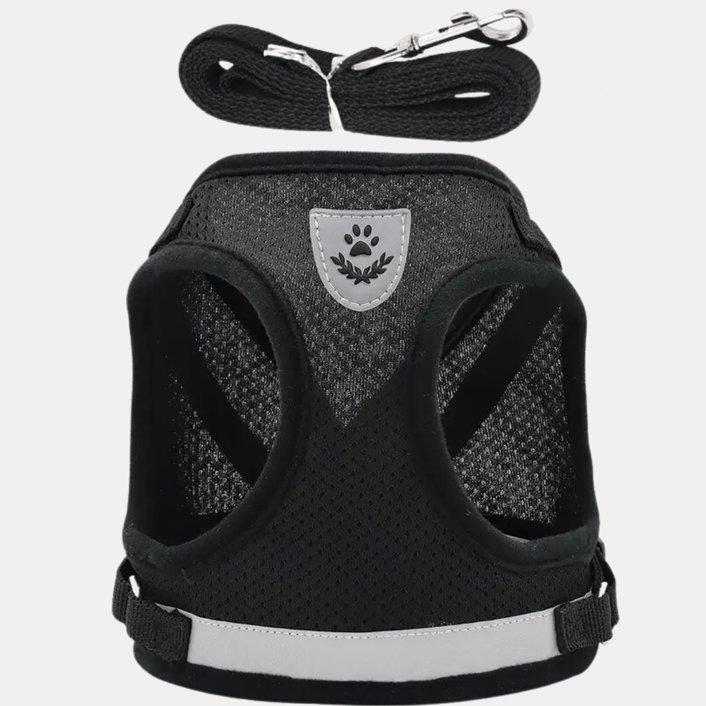 Arnés Chaleco Transpirable con Correa para Perros Pequeños y Gatos