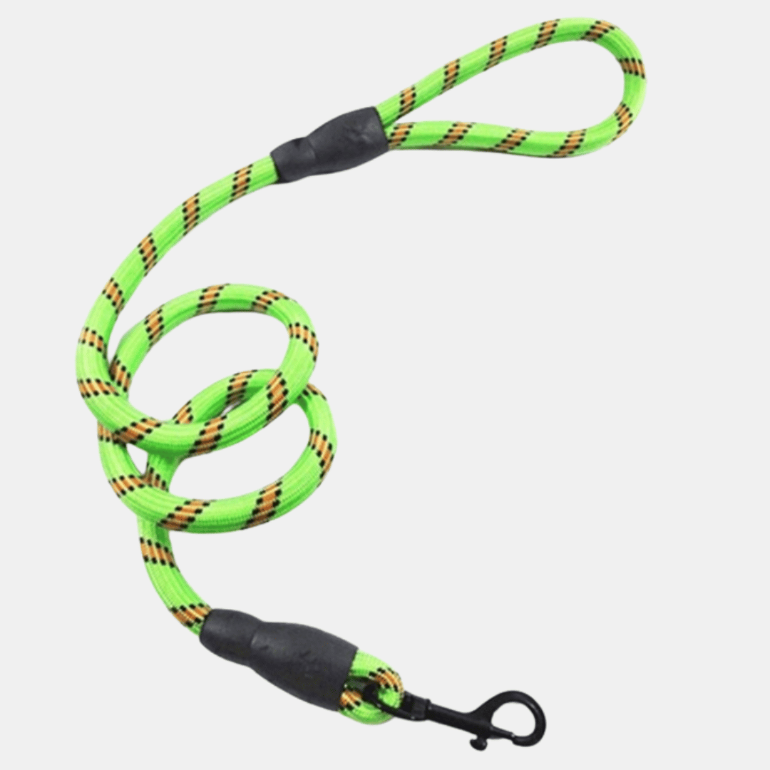 Correa Nylon elástico para perros