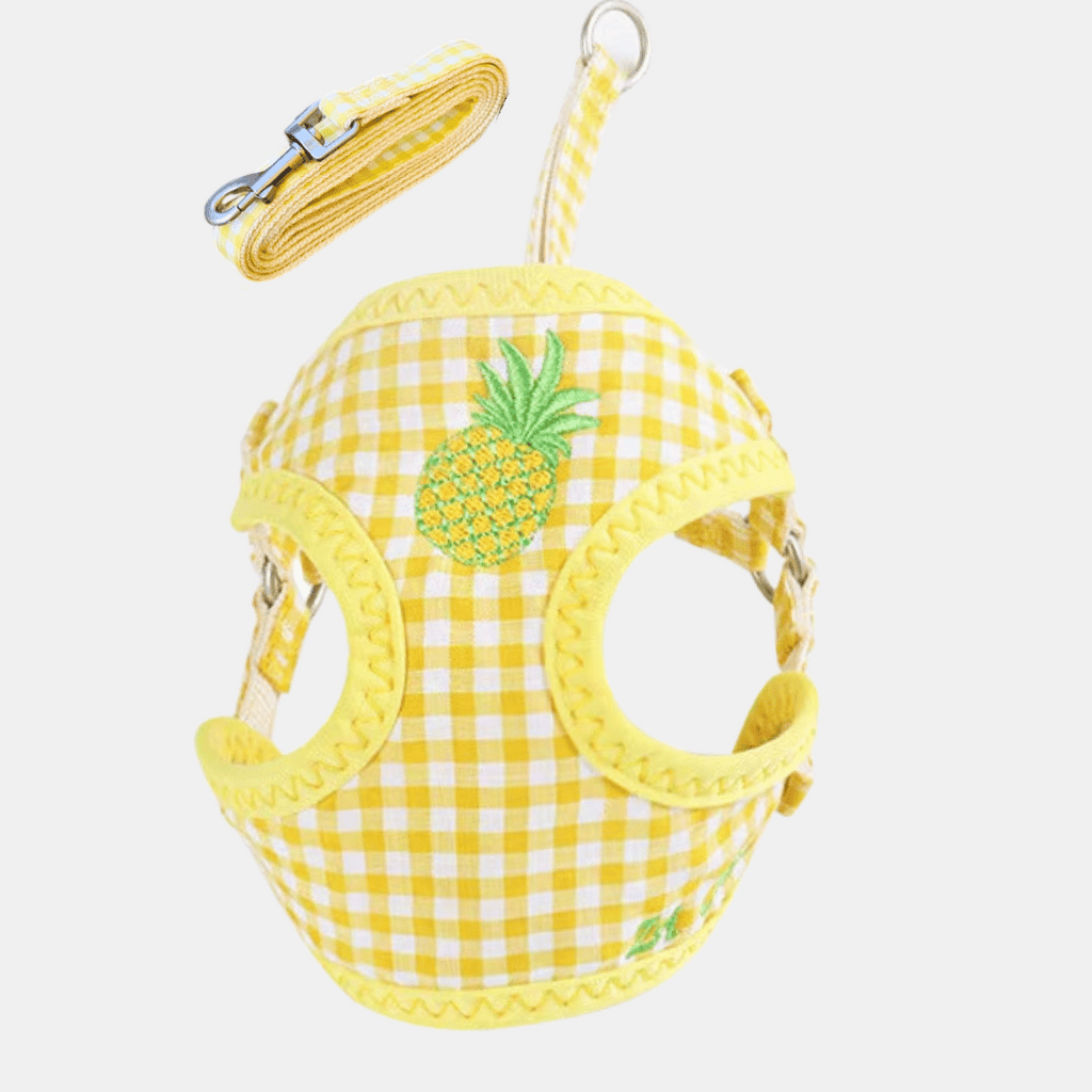 Conjunto Fruta arnés + correa para gatos