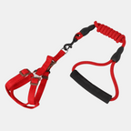 Arnés y Correa con Mango de Espuma para Perros