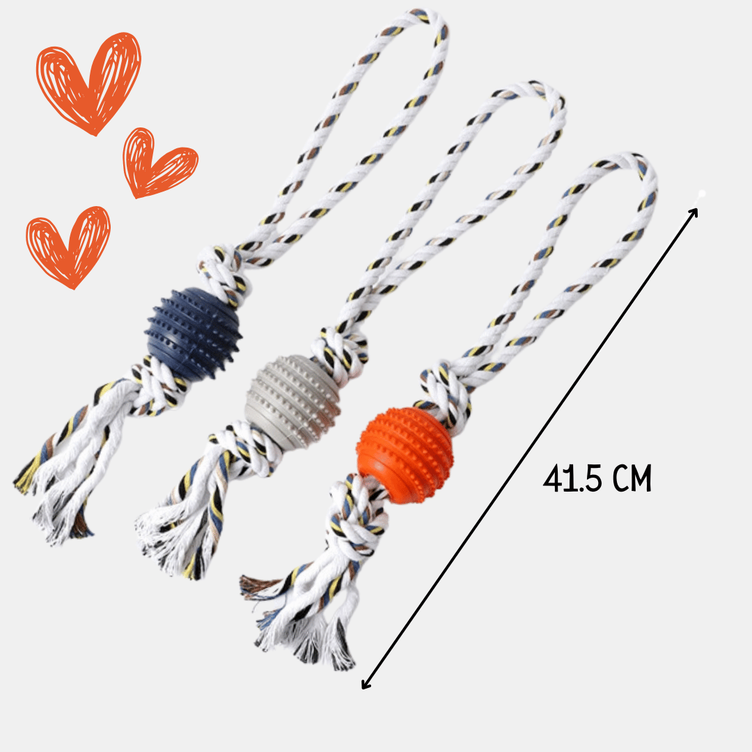 Bolita / Hueso TPR con cuerda para perros