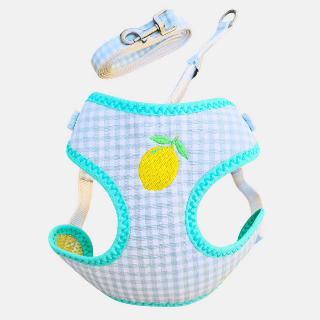 Conjunto Fruta arnés + correa para gatos