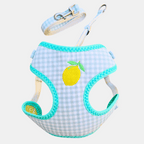 Conjunto Fruta arnés + correa para gatos