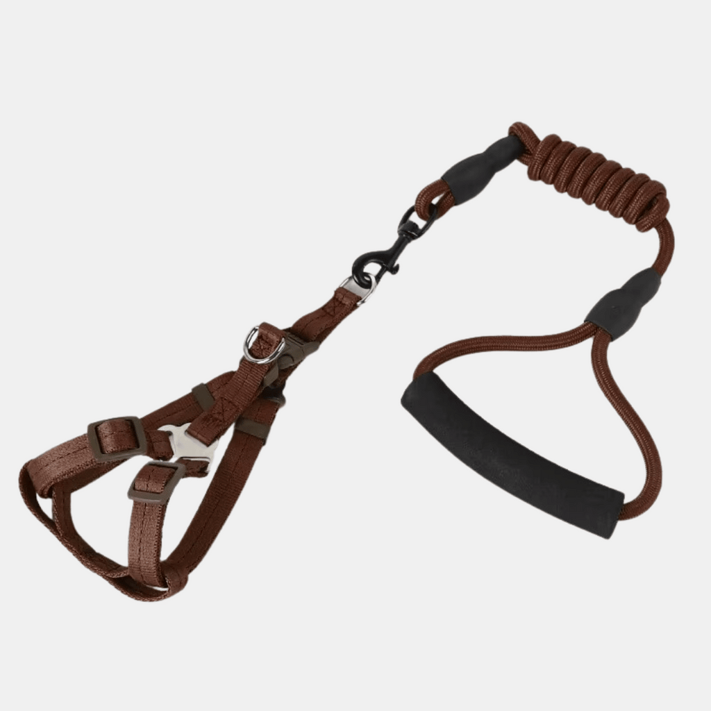 Arnés y Correa con Mango de Espuma para Perros